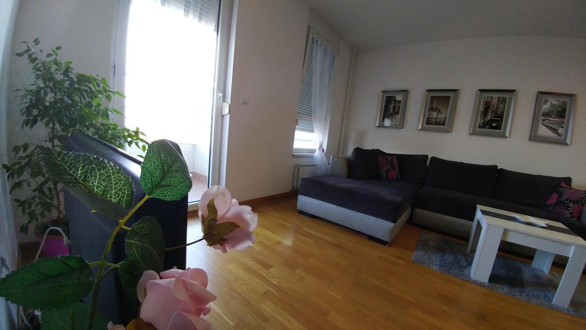 Delta Residence Belville Belgrado Quarto foto